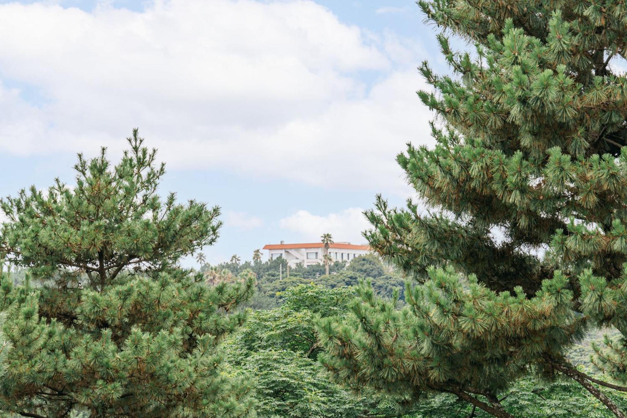 Heyy Seogwipo Hotel Экстерьер фото